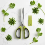 scissor cutting coriander and spring onion